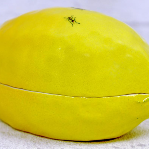 Didier GARDILLOU, boite en forme de citron ornée de fourmis - trompe l'oeil en porcelaine