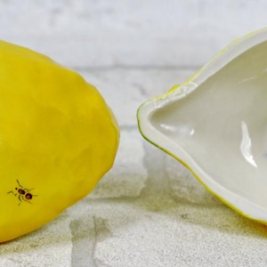 Didier GARDILLOU, lemon-shaped box decorated with ants - trompe l'oeil porcelain