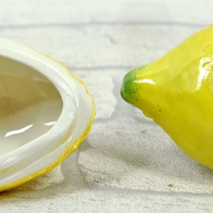 Didier GARDILLOU, lemon-shaped box decorated with ants - trompe l'oeil porcelain