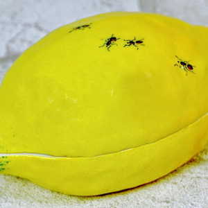 Didier GARDILLOU, lemon-shaped box decorated with ants - trompe l'oeil porcelain