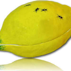 Didier GARDILLOU, boite en forme de citron ornée de fourmis - trompe l'oeil en porcelaine