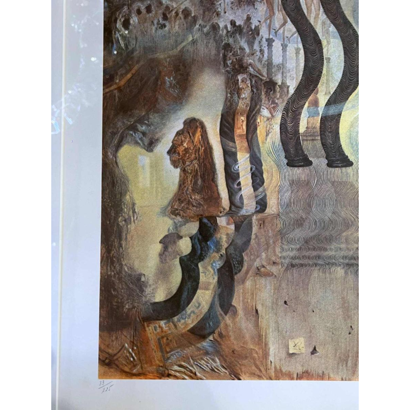 Salvador DALI 'De apotheose van de dollar' kleurenlithografie op papier 33/225