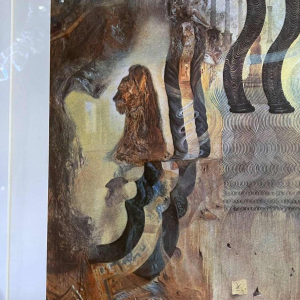 Salvador DALI 'The apotheosis of the dollar' colour lithograph on paper 33/225