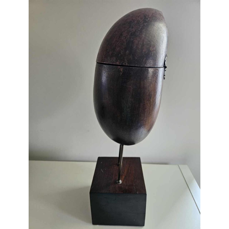 Coco Fesse / des mers (Lodoicea maldivica) "boîte" montée sur socle