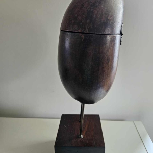 Coco Fesse / des mers (Lodoicea maldivica) "boîte" montée sur socle