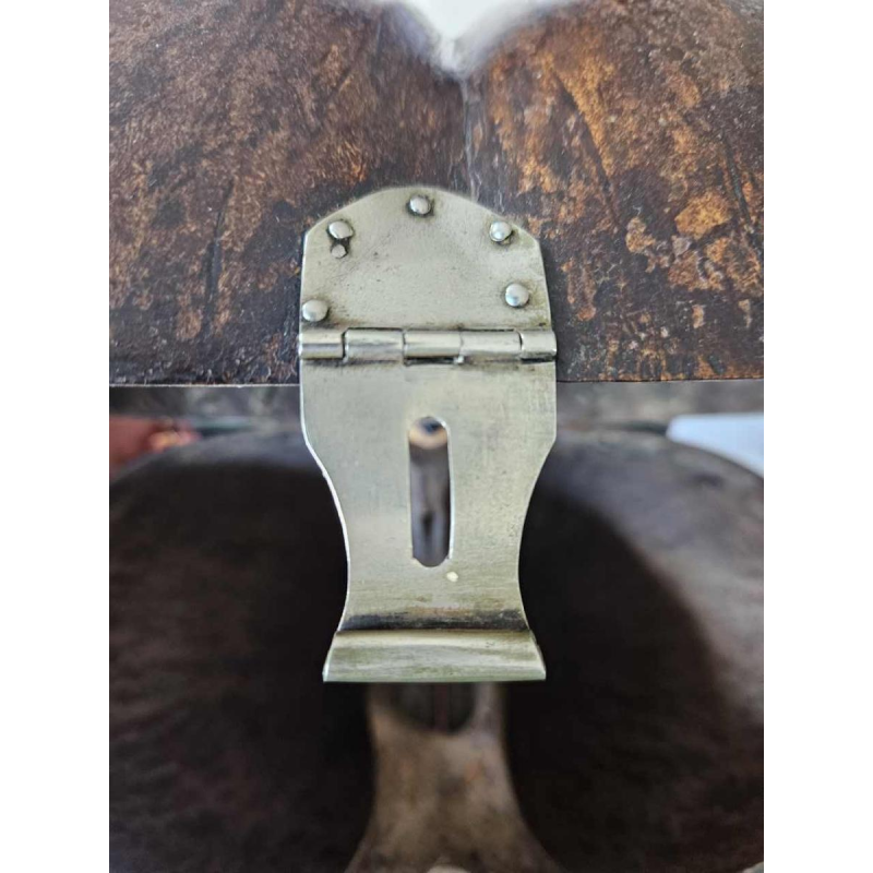 Coco Fesse / van de zeeën (Lodoicea maldivica) doos gemonteerd op sokkel