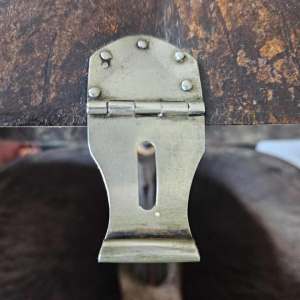 Coco Fesse / van de zeeën (Lodoicea maldivica) doos gemonteerd op sokkel