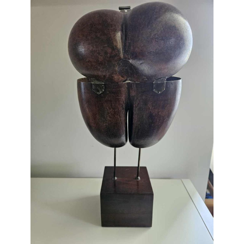 Coco Fesse / of the seas (Lodoicea maldivica) box mounted on base