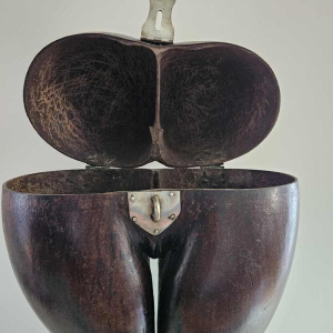 Coco Fesse / des mers (Lodoicea maldivica) "boîte" montée sur socle