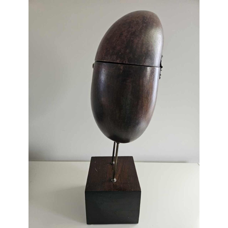 Coco Fesse / of the seas (Lodoicea maldivica) box mounted on base