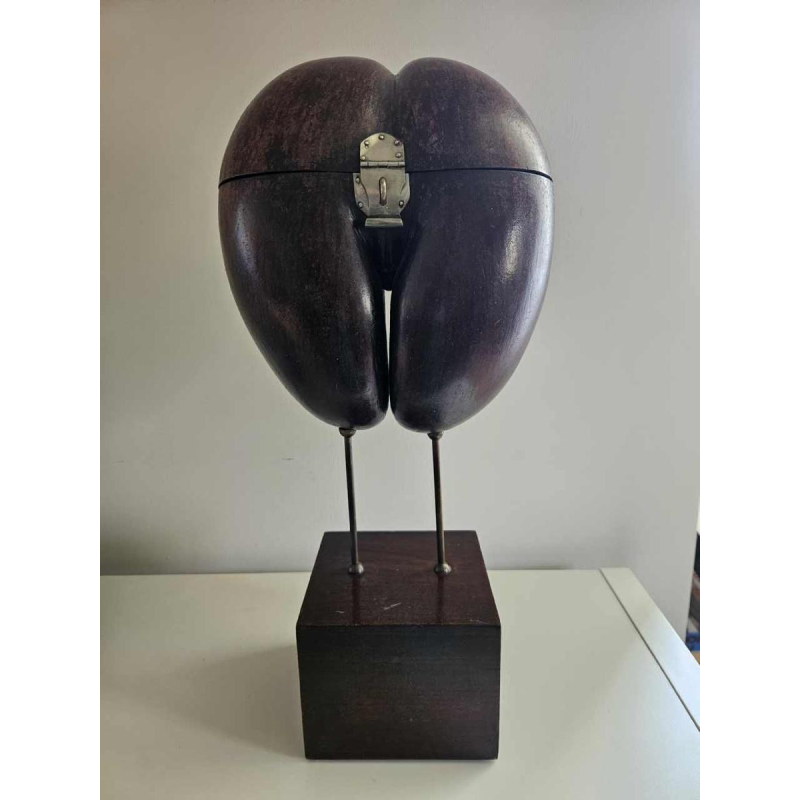 Coco Fesse / of the seas (Lodoicea maldivica) box mounted on base