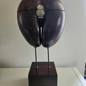 Coco Fesse / van de zeeën (Lodoicea maldivica) doos gemonteerd op sokkel