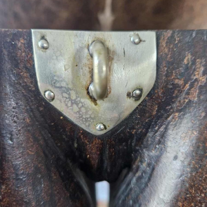 Coco Fesse / van de zeeën (Lodoicea maldivica) doos gemonteerd op sokkel