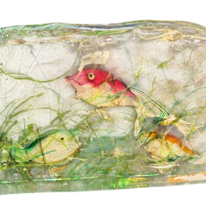 MURANO, aquarium en verre, Italie Venise vers 1960