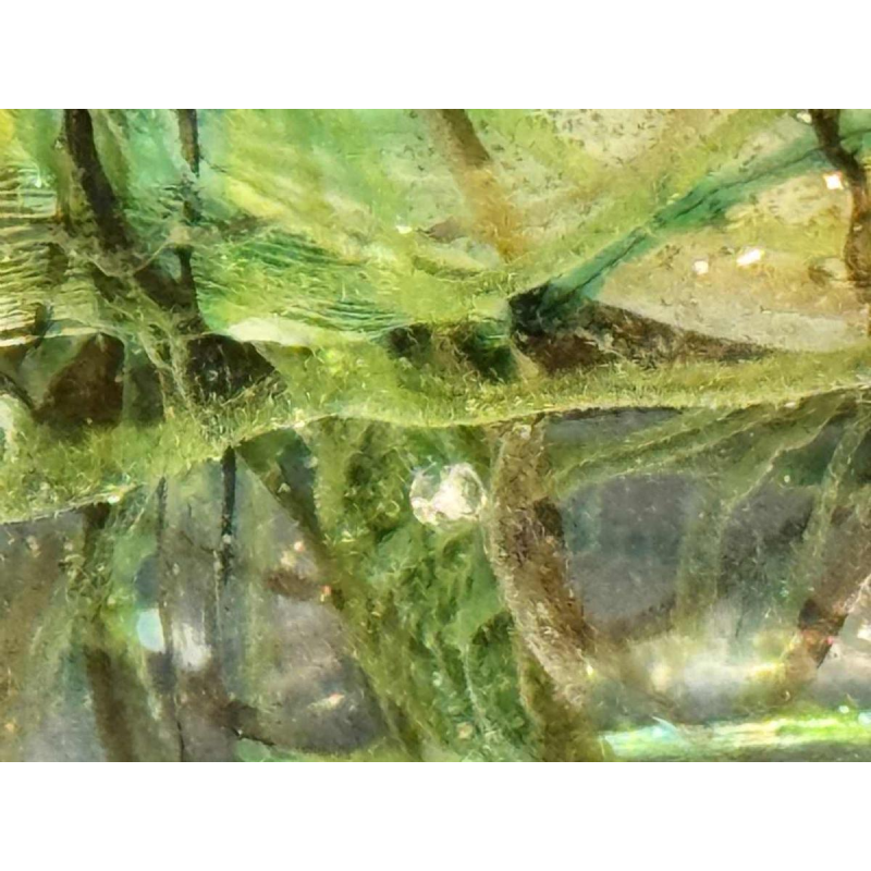 Aquarium glass by MURANO - Venice - Italy circa 1960.