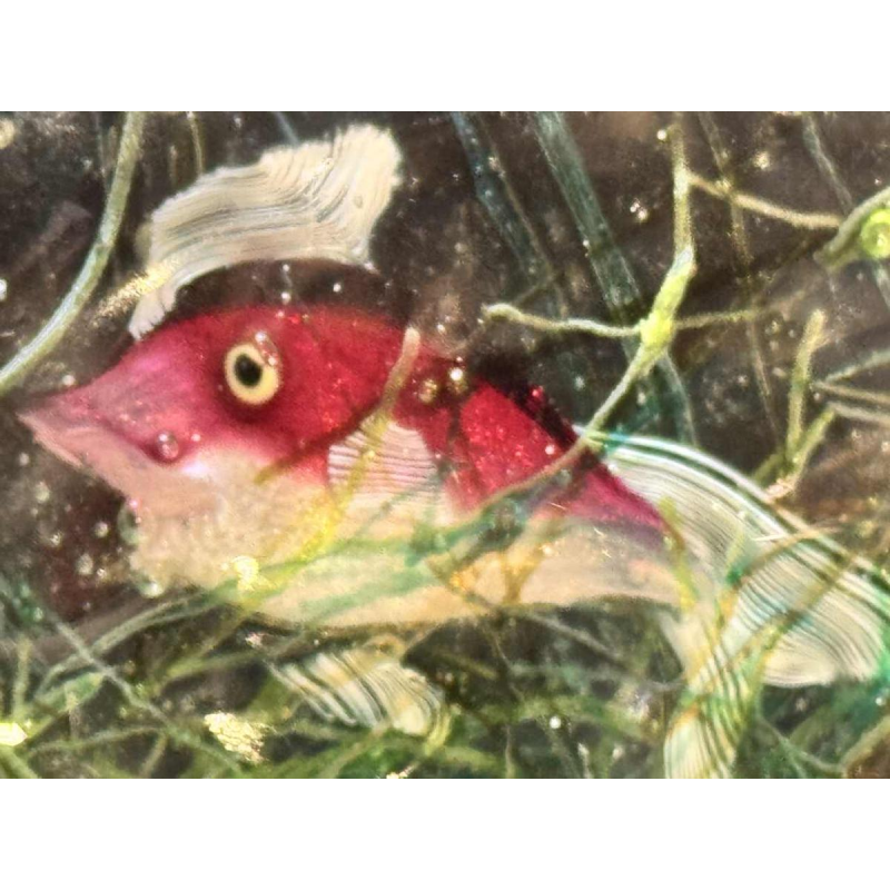 Aquarium glass by MURANO - Venice - Italy circa 1960.