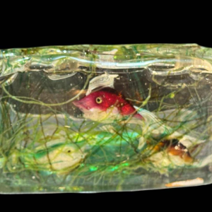 MURANO, aquarium en verre, Italie Venise vers 1960