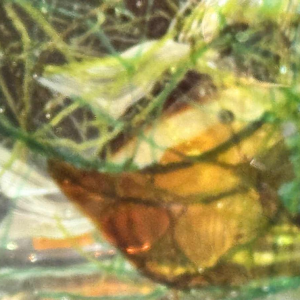 MURANO glazen aquarium - Venetië - Italië circa 1960.