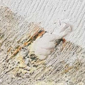 Bas-relief in mixed materials "TOM BABY'S HANDS" (1988):