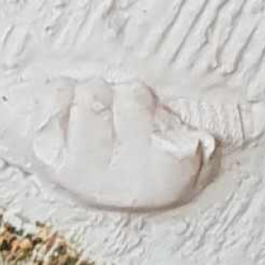 Bas-relief en matériaux mixtes « MAINS DE TOM BEBE » (1988) :