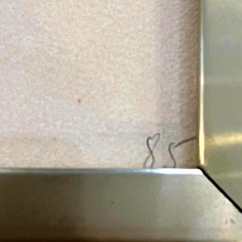 Pablo PICASSO lithographie «La Colombe de l’avenir» 1962 Pablo PICASSO lithographie «La Colombe de l’avenir» 1962