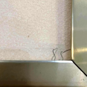 Pablo PICASSO litho “De duif van de toekomst” 1962