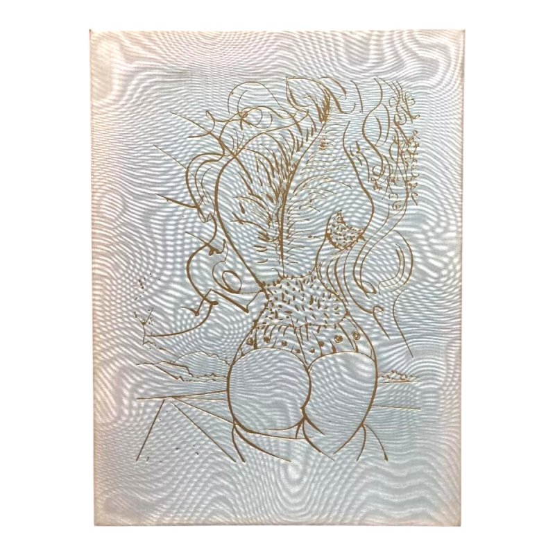 Venus in bont - illustraties van Salvador Dalí