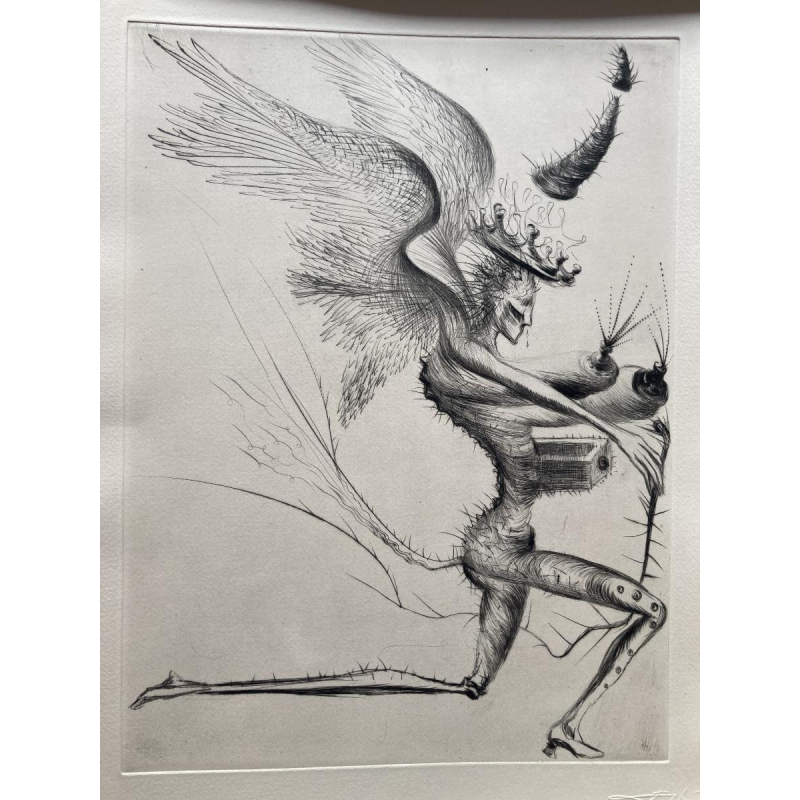 Venus in bont - illustraties van Salvador Dalí