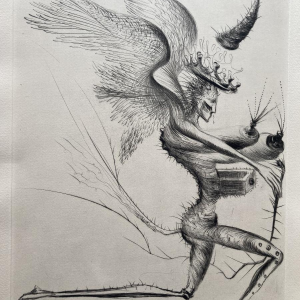 Venus in Furs - illustrations by Salvador Dalí