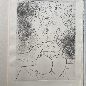 Venus in bont - illustraties van Salvador Dalí