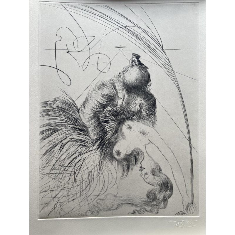 Venus in bont - illustraties van Salvador Dalí