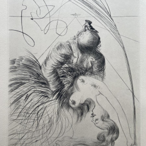 Venus in Furs - illustrations by Salvador Dalí