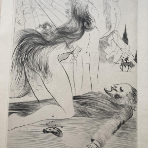 Venus in bont - illustraties van Salvador Dalí