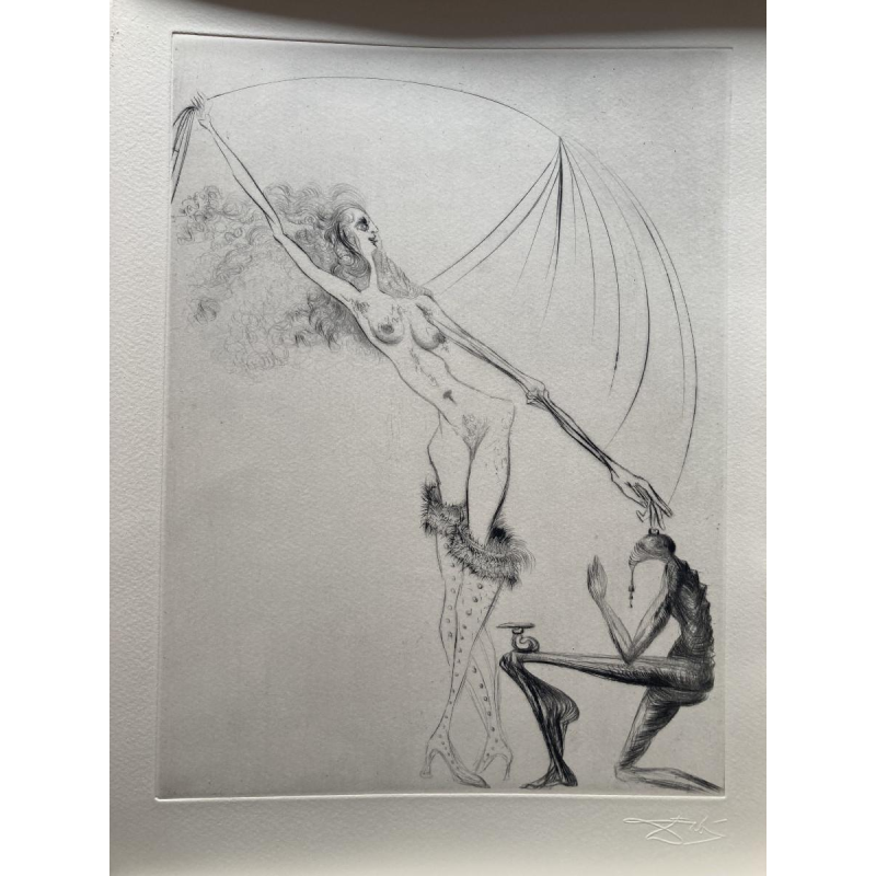 Venus in bont - illustraties van Salvador Dalí