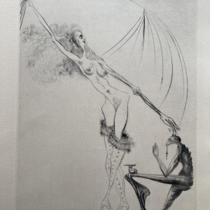 Venus in bont - illustraties van Salvador Dalí