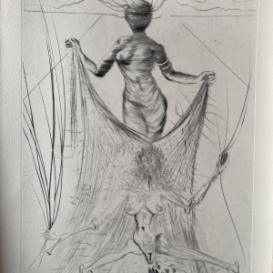 Venus in bont - illustraties van Salvador Dalí