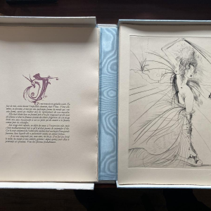 Venus in bont - illustraties van Salvador Dalí