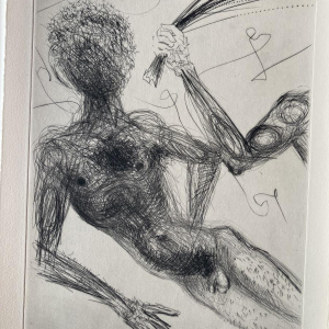 Venus in bont - illustraties van Salvador Dalí