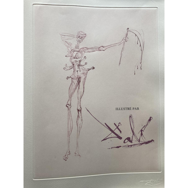 Venus in Furs - illustrations by Salvador Dalí