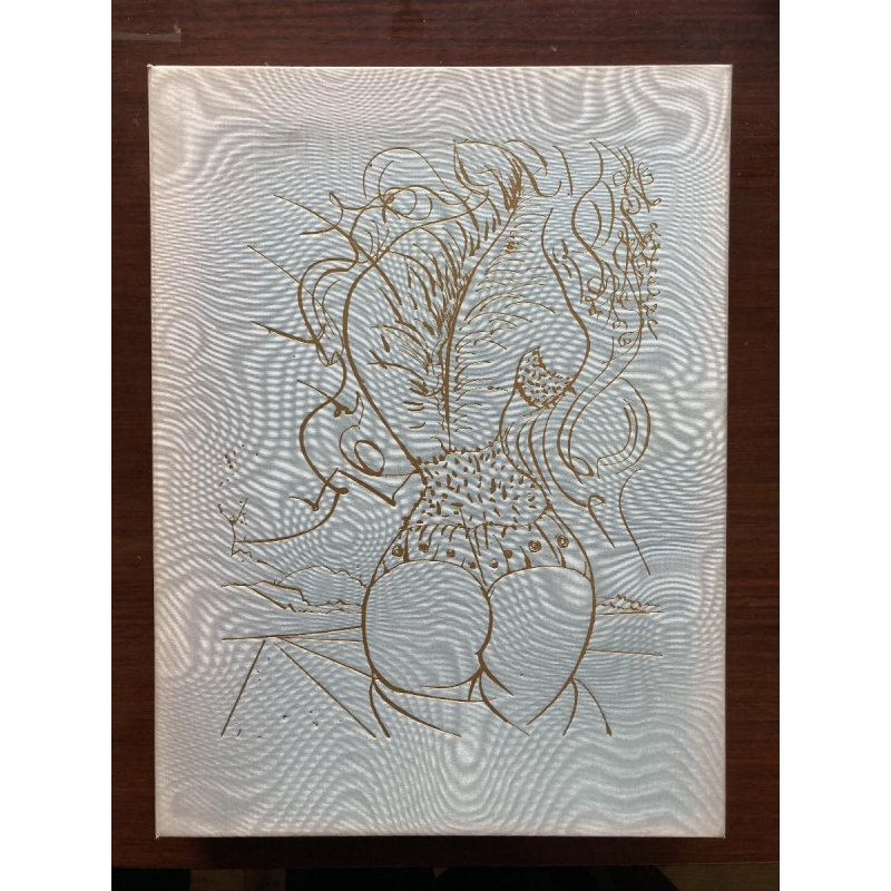 Venus in Furs - illustrations by Salvador Dalí