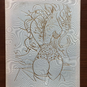 Venus in bont - illustraties van Salvador Dalí