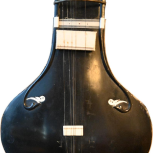 Oude Indiase sitar – circa 1910–1930, ebbenhout & been