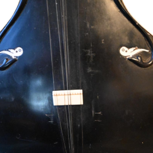 Antique Indian sitar, ebony and bone, circa 1910-1930