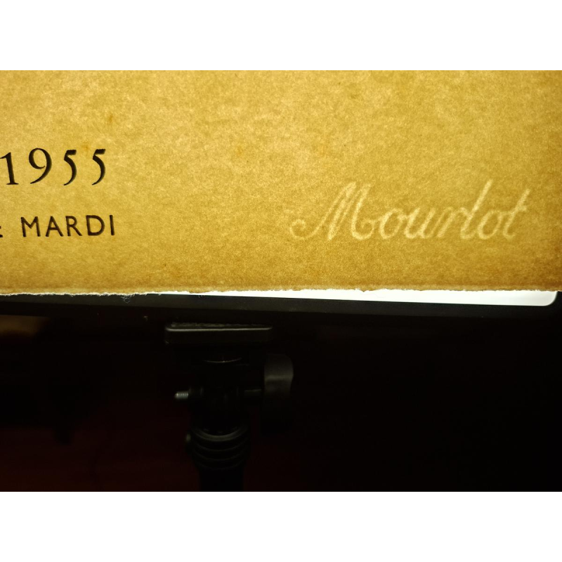 Kees VAN DONGEN / Mourlot impressie - Schilders als getuigen van hun tijd - lithografisch affiche