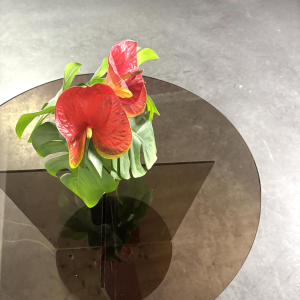 Gerookte glazen salontafel