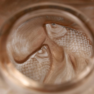 RENE LALIQUE, vase « FORMOSE » en verre soufflé-pressé moulé patiné sienne, 1924