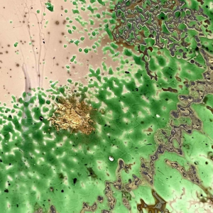 Alfred COLLARD, Abstract sculpture, Glass disc decorated with inclusions