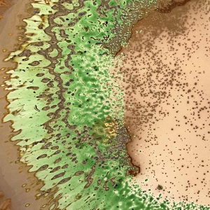 Alfred COLLARD, Sculpture abstraite, Disque en verre à décor dinclusions