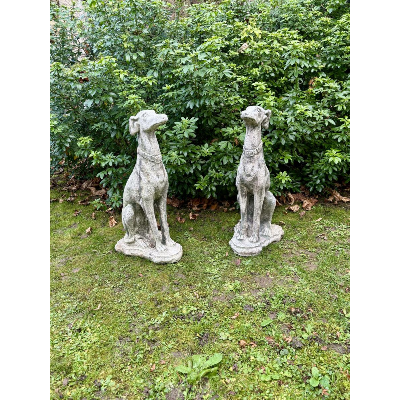 Paire de lévriers assis en pierre reconstituée - Sculptures - Décor de jardin, Portugal XXe siècle