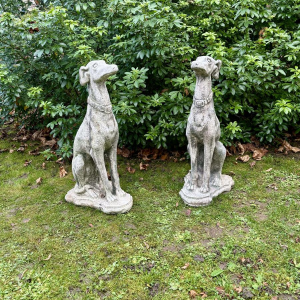 Pair of seated greyhounds in reconstituted stone - Sculptures - Garden decoration, Portugal, 20th century